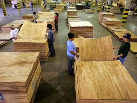 Plywood Industry